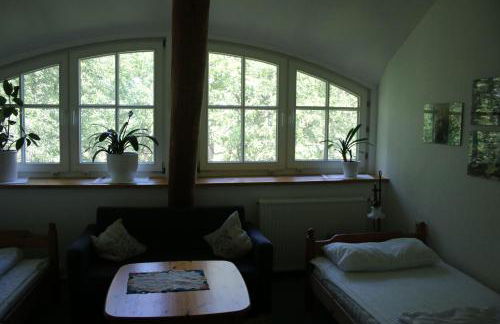 Erlenhof-Steinau-Fachwerkhaus-mit-Reetdach - Foto 9