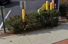 Semi Private cozy studio near downtown. - Foto 11