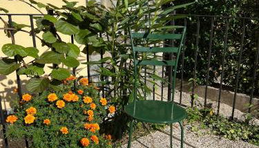 LakeView LakeComo, CIPRESSO 7, 4Seasons, Terrace, 30m to Lake! by STAYHERE-LAKECOMO - Foto 2, Garden view