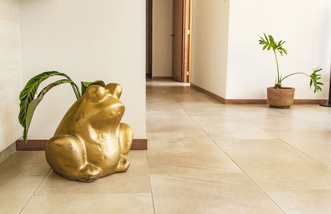 Justo Sierra SmartLife - Foto 53