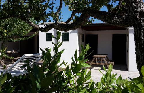 Agriturismo Vignavecchia - Foto 136