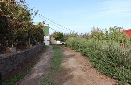 Casa rural Finca Don Amado, San Mateo - Foto 61