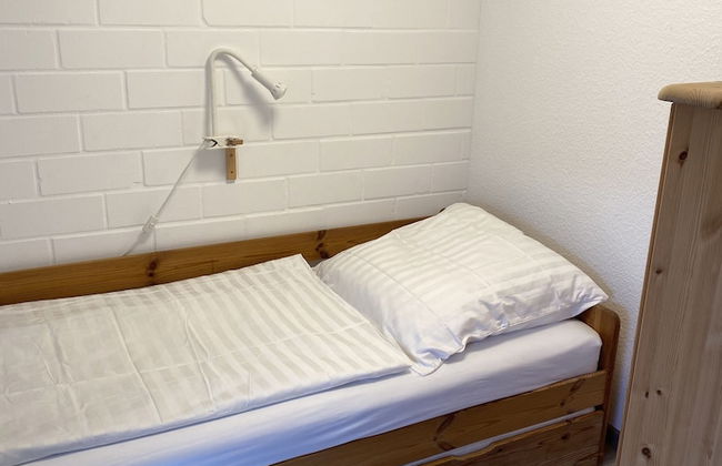 Ostseekrabbe - Foto 3