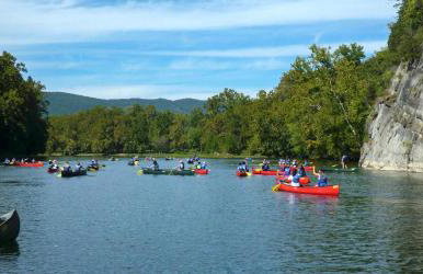 Mountain Whispers - Modern Chic Near Shenandoah National Park - Foto 40