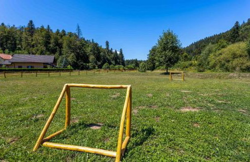 Amazing Home In Fuzine With Sauna - Foto 18