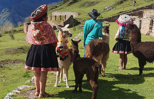 Ruta privada de senderismo con llamas y alpacas por el Valle Sagrado - Foto 8