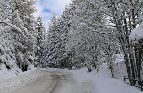 La Résidence de L'Ours - Foto 44
