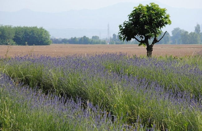 FondoBrugarolo - Foto 29