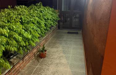 Casa Di Francia - Photo 19