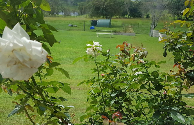 Hay Point Country B&B - Foto 13