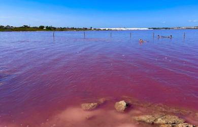 Bungalow feliz acepto mascotas - Foto 14