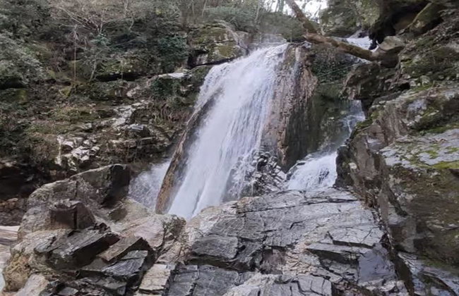 Halkidiki Hidden Gems - Private Full-Day Tour - Foto 6