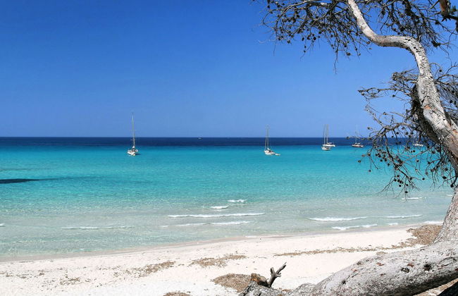 Rés. Odalys Référence Casa d'Orinaju - Photo 16