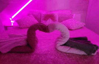 Au Fil De l' Eau 21 rue des Minotiers 43110 Aurec-sur-loire - Foto 25