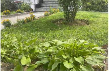 Charming Victorian Home in the Heart of White Plains - Foto 18