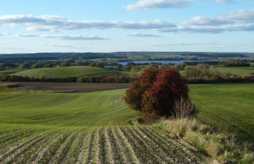 Ferienhaus Melzow - Photo 9