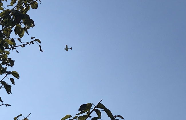 Oasi del Vetoio - Photo 20