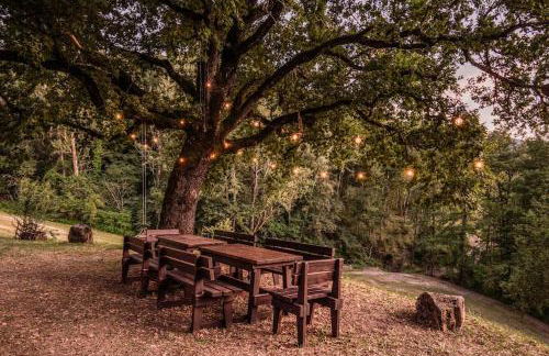 Abissinia, Gioiello nel Bosco - Foto 13