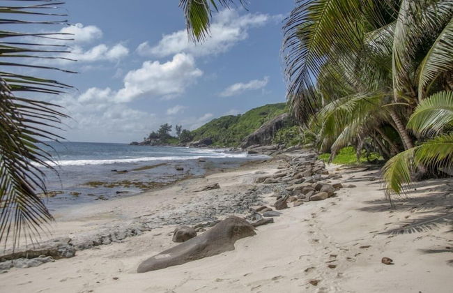 Domaine Desaubin Luxury Villas - Foto 29