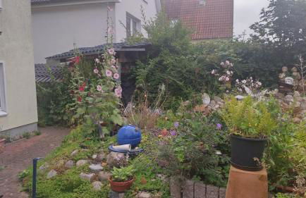 Charmante Ferienwohnung - Foto 13