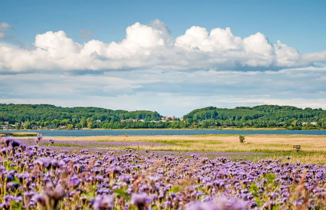 Aparthotel in Sellin with garden and terrace - Photo 14