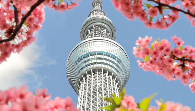 Tour de Tokio al completo