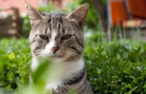 Lüttje Teihn - Foto 6