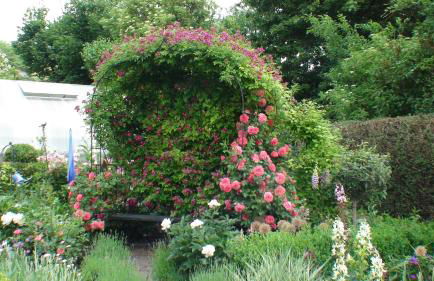 Ferienwohnung Haßmüller - Foto 23