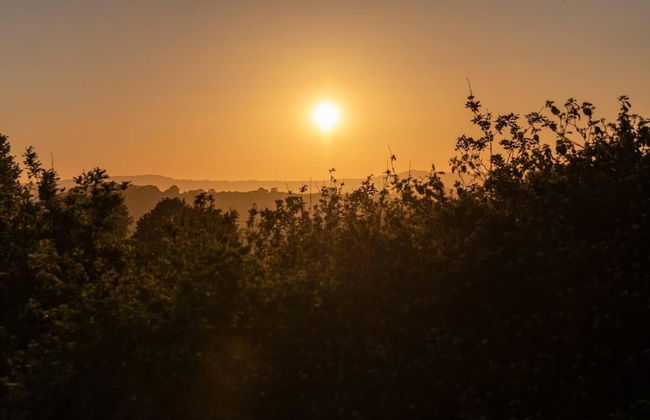 Romantic Hideaway Cottage, Near Bridport, Dorset - Foto 14