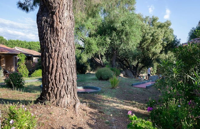 Residence Alba Rossa, Serra-di-ferro, Accommodation With Terrace or Balcony - Foto 64