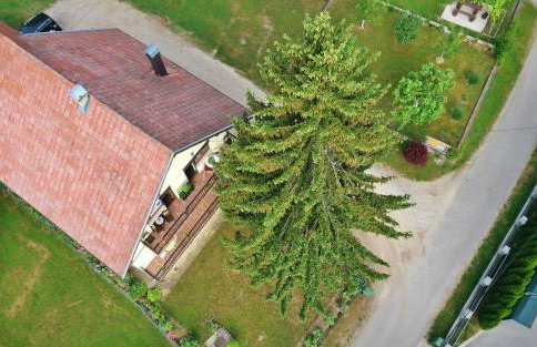 Studio Ivona - Foto 52