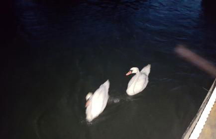 Sportboot Lorenzo - Foto 49