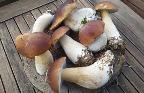 Eifellodge - Foto 29