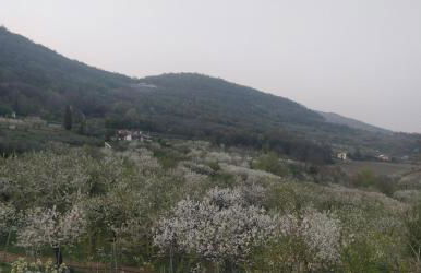 Agriturismo L'Albara - Wines, Pool & SPA - Foto 58