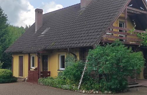 Biały Dzik Uszyszek - Foto 1