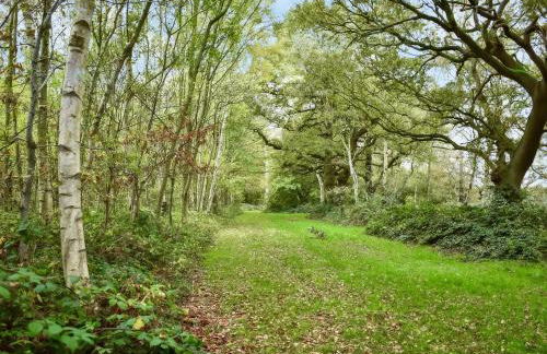 George Lodge - Foto 11