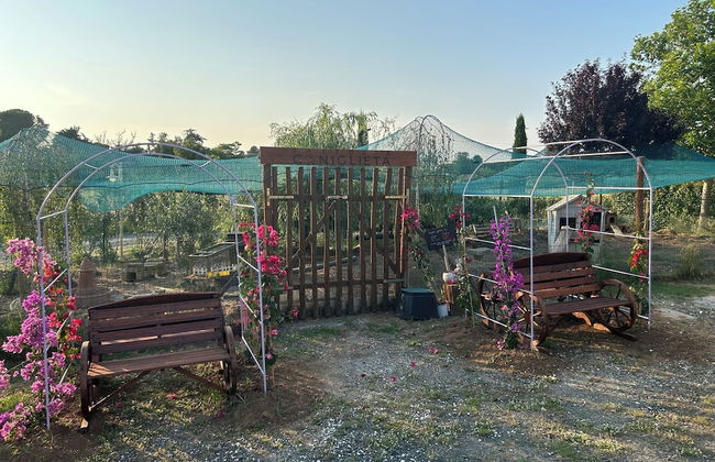 Fattoria Palazzeta Pet & Family Friendly - Foto 3