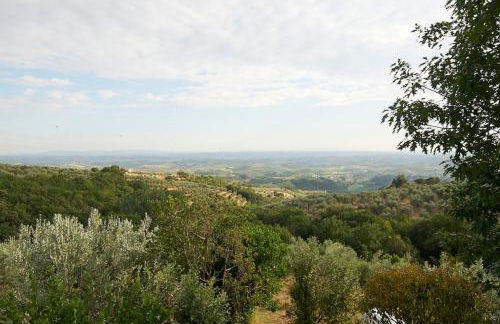 Villa Vestra in Vinci holiday home - Foto 22