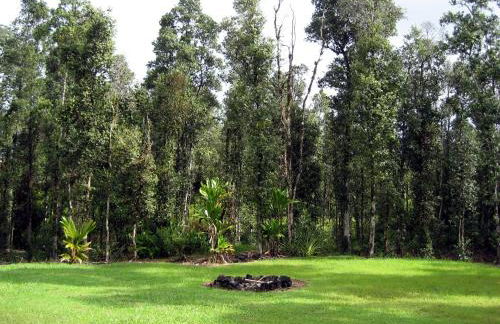 Keaau Place - Foto 28