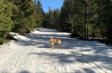 Maison les pieds dans l'eau - Foto 46