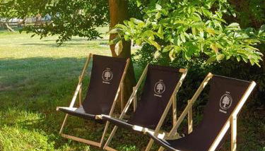 Agroturystyka Pod Orzechem - Foto 4, Garden