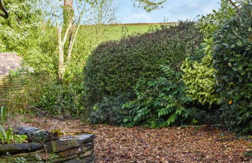 Heddfan - Uk47835 - Foto 10