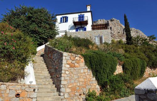 Hydra Erato - Foto 26