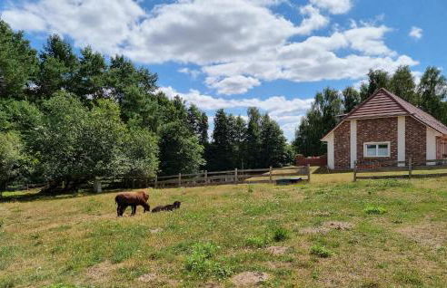 Pet Friendly Apartment - Foto 12