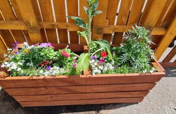 Sherwood Bungalow 3 Bedroom Entire Property - Foto 56