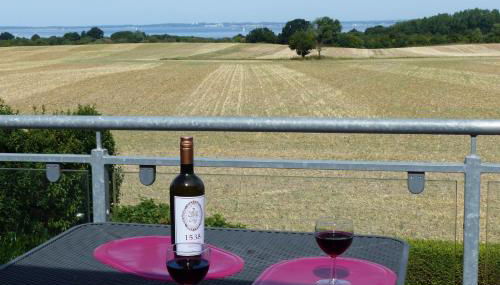 Bellevue Ferienwohnung - Photo 5