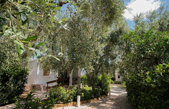 Holiday Apartment "orchidea" With Swimming Pool and Private Beach - Foto 64