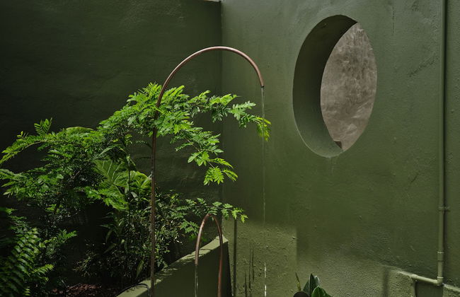 VERDE by DW - Photo 34