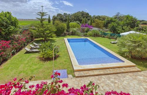 Finca Antonio - Foto 11