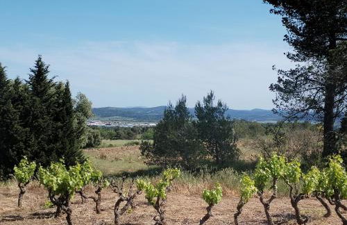 Lumineuse villa au pied de la pinède - Foto 25